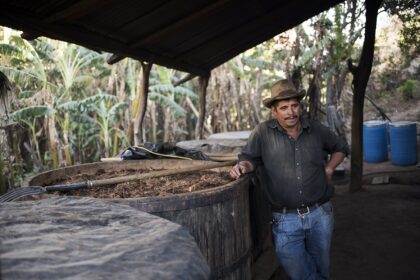 Oaxaca organic mezcal