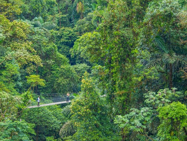 people on a yoga retreat hiking through the jungle in Costa Rica