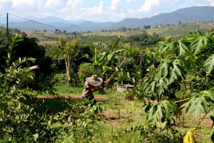 Pun Pun Organic Farm near Chang Mai, Thailand, combines local culture and farming with permaculture-inspired philosophy.