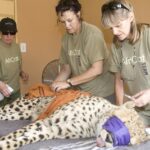 Africat health team. Photo courtesy of Wilderness Travel.