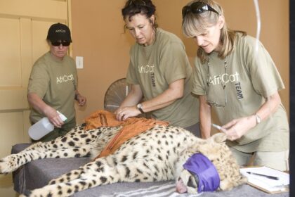 Africat health team. Photo courtesy of Wilderness Travel.