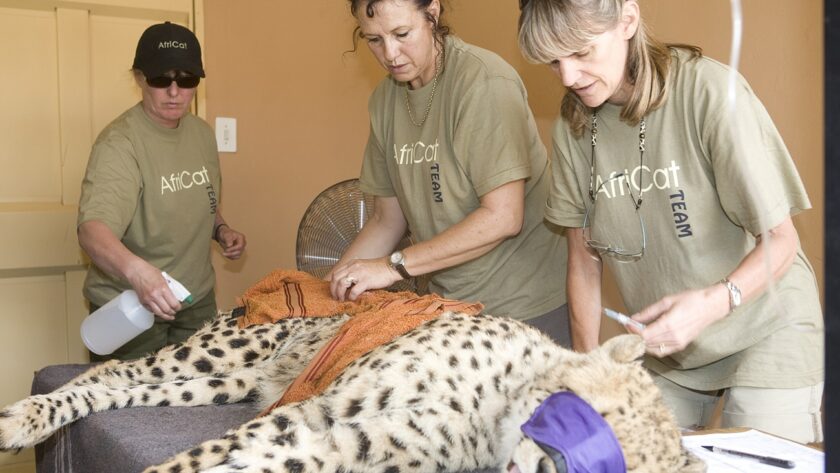 Africat health team. Photo courtesy of Wilderness Travel.