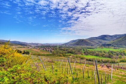 alsace