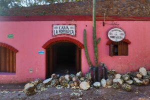 Los Abuelos is one of best tequila distilleries in Mexico