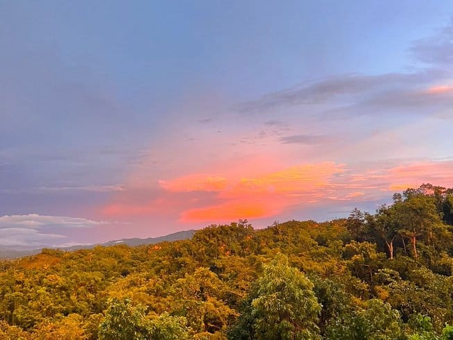 Ayahuasca, Yoga, and Meditation Caribbean Wellness Retreat