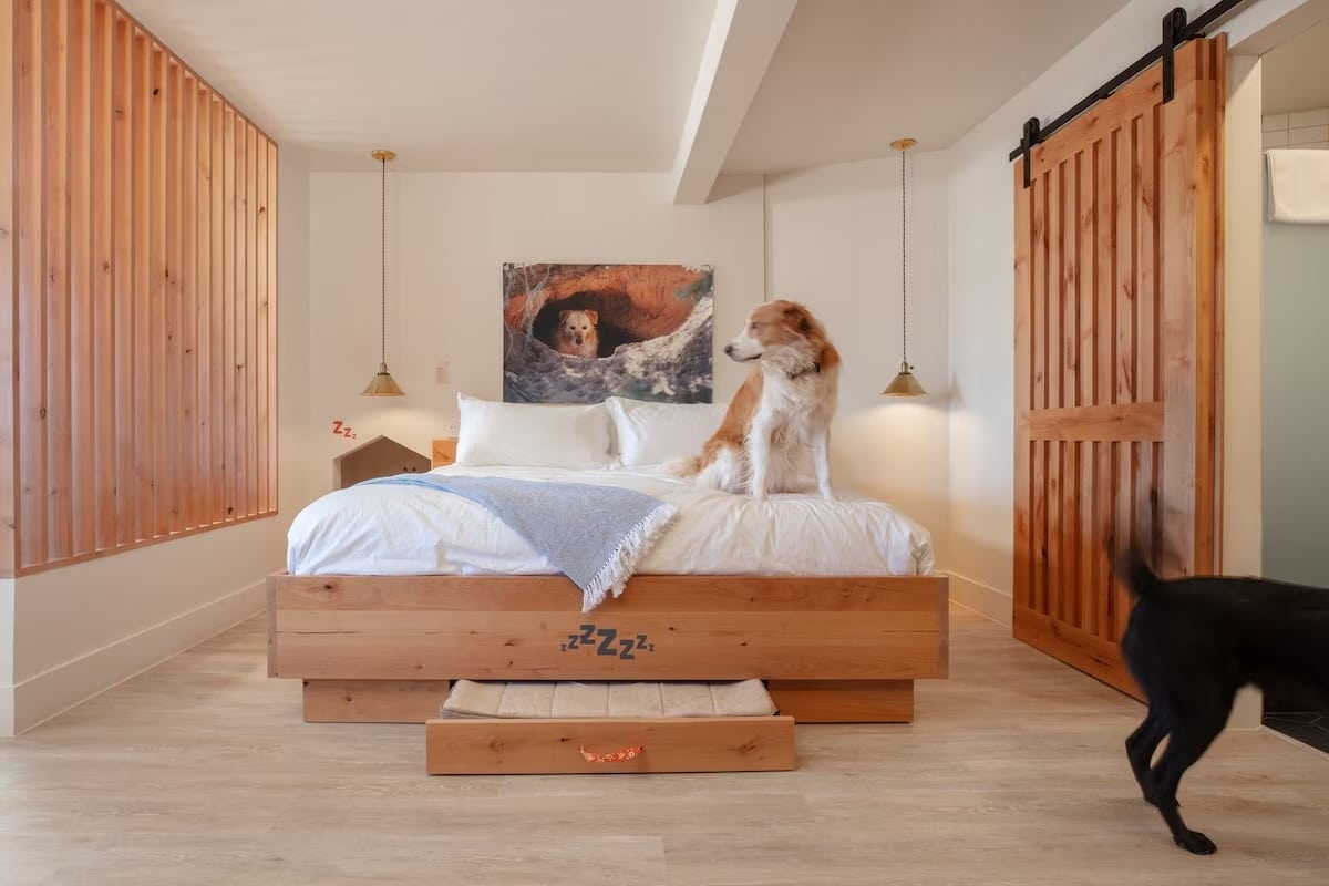 Dog-friendly room at Best Friends Roadhouse and Mercantile in Kanab, Utah, featuring a cozy bed with a dog sitting on top, wooden accents, and a custom pull-out pet bed beneath.