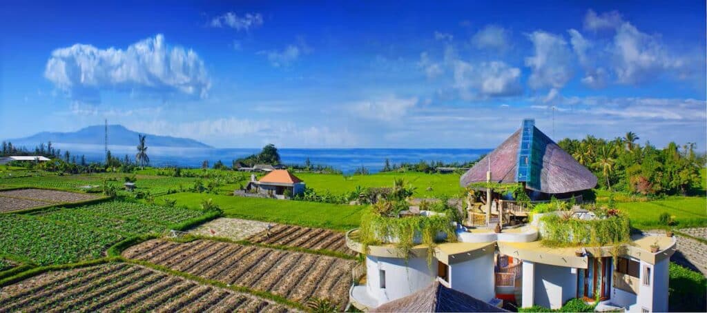 rice terraces surrounding the Floating Leaf Eco-Luxury Retreat in Sukawati, Bali