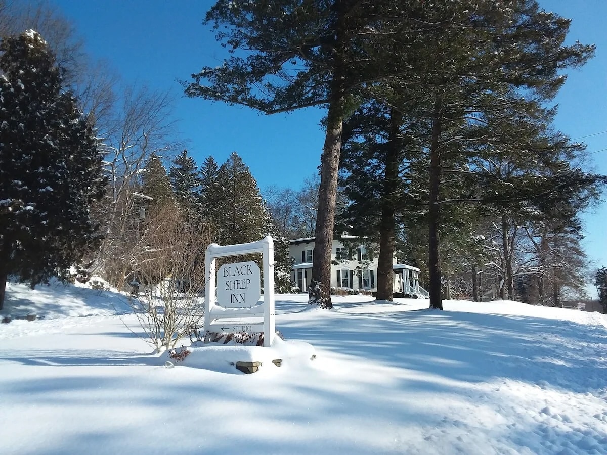 Snow-covered landscape at vegan The Black Sheep Inn and Spa in the Finger Lakes, New York, with tall pine trees and a charming inn nestled in the background.