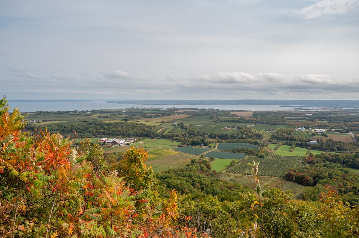 A stunning aerial view of the Annapolis Valley, showcasing lush vineyards and farmland with the Bay of Fundy in the distance, seen from the Blomidon Look-off in Nova Scotia.