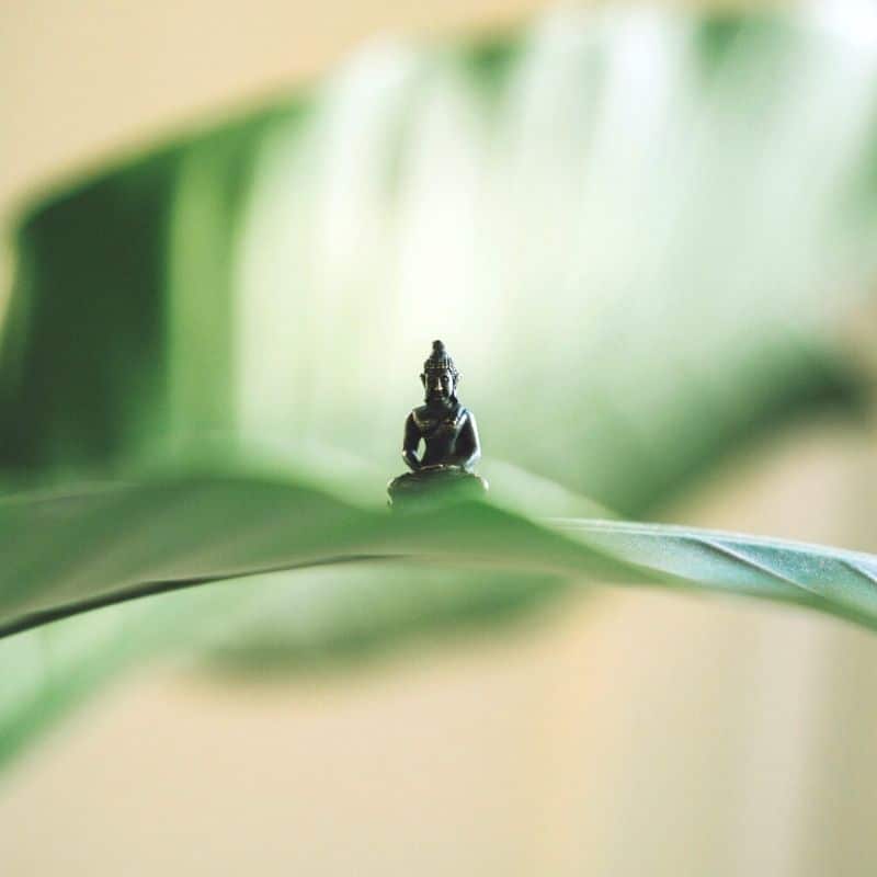 Small Buddha on a silent reteat in mexico