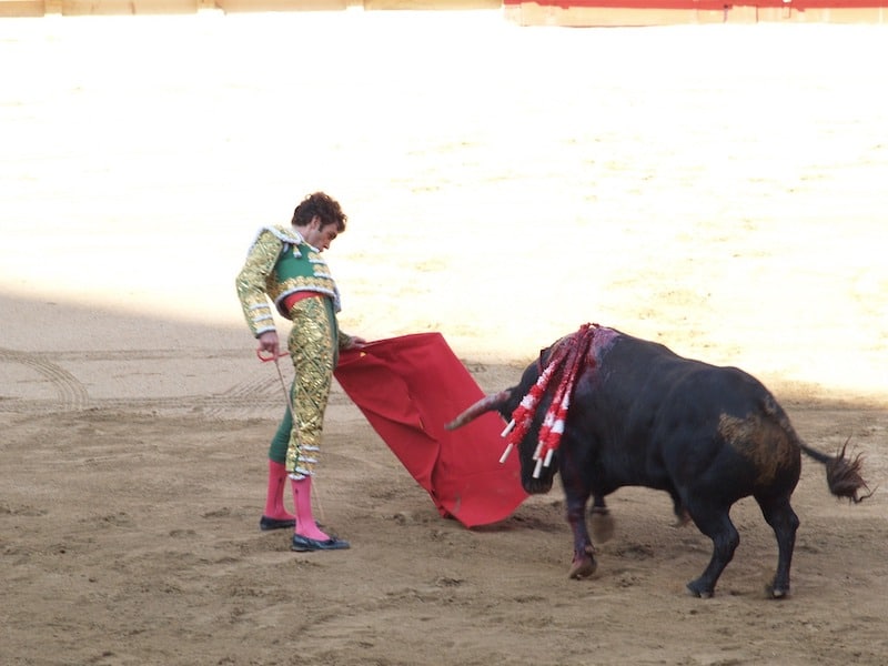 irresponsible tourism & wild animal cruelty bullfight