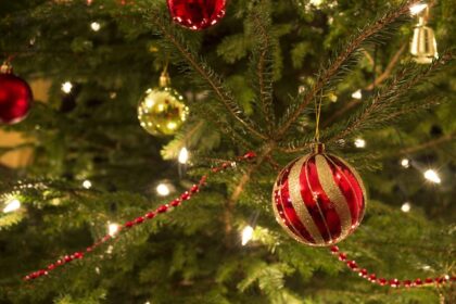 christmas tree
