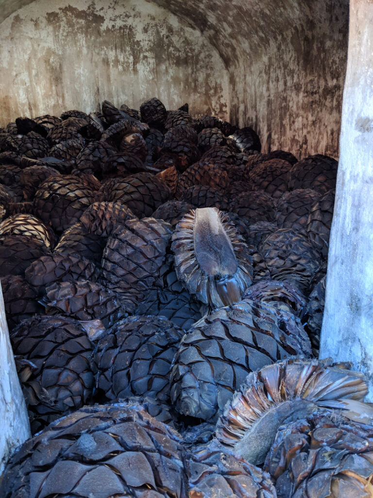El Pandillo is one of the best tequila distilleries in Mexico