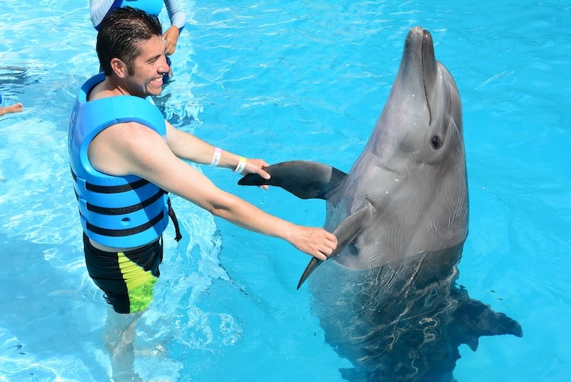 irresponsible tourism & wild animal cruelty dolphin experience