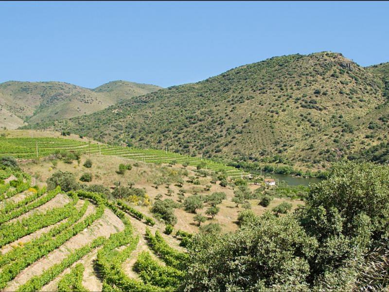 The Douro Iternational Natural Park