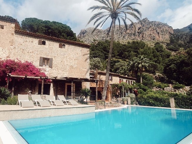 pool surrounded by palm trees and mountains in Mallorca