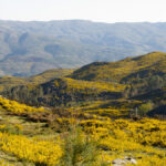 eco-tourism in Portugal