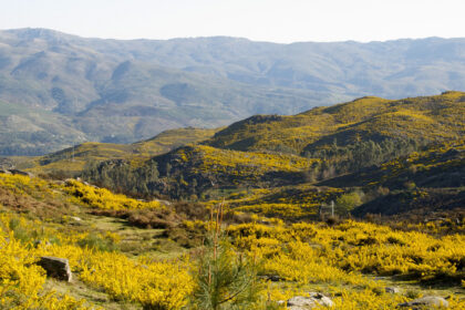 eco-tourism in Portugal