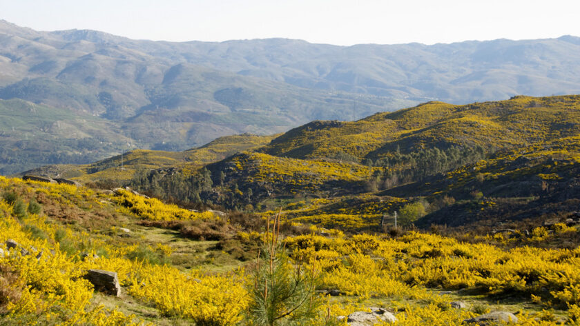 eco-tourism in Portugal