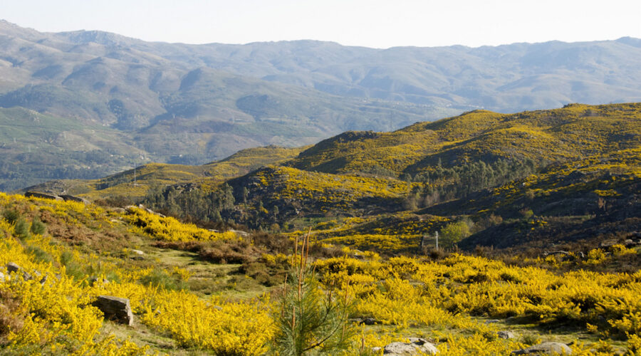 eco-tourism in Portugal