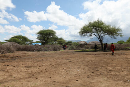 desertification in africa