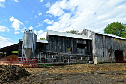sugarbush farm