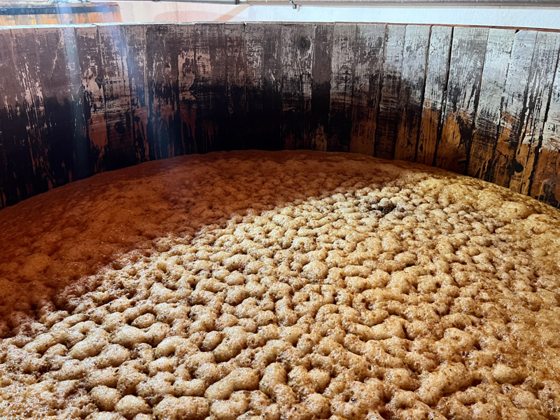 Open-air fermentation cask for Mexican tequila