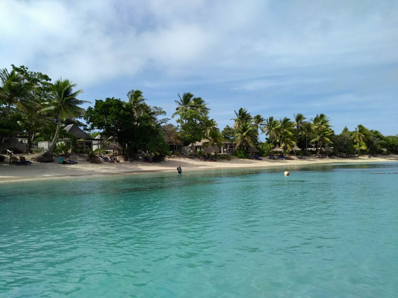 Visiting a beach with huts hidden among the palm trees while exploring ecotourism in Fiji