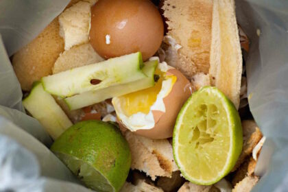 food waste