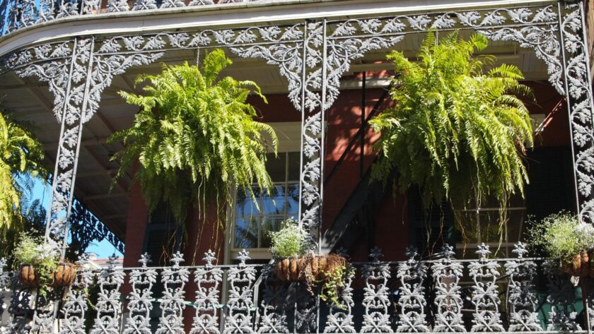 French Quarter, New Orleans (c) Jacqui Gibson. Epicure and Culture.