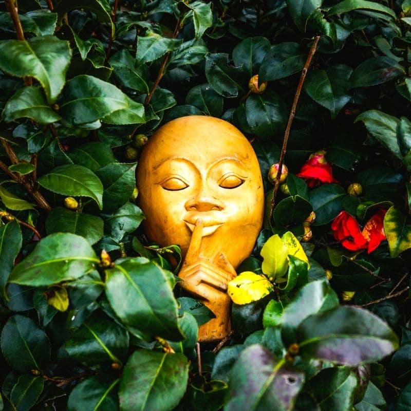 Mask in a garden on a silent retreat in mexico