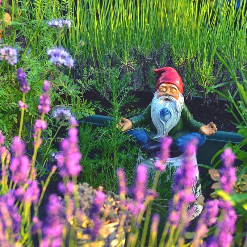 Garden gnome meditating like on a silent retreat in Mexico