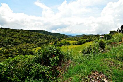 monteverde