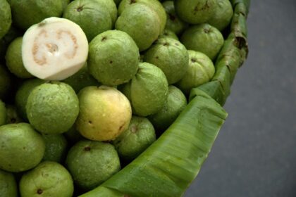 guava
