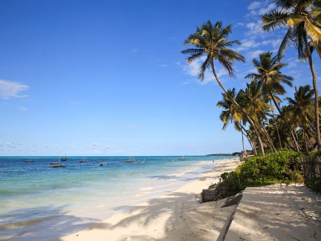 white sandy beach flanked by palm trees and turquoise waters in Zanzibar, Tanzania