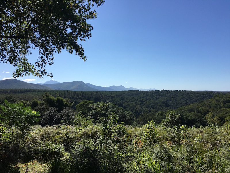 Views from Wild Spirit over the mountains and thick vegetation of Tsitsikama National Forest
