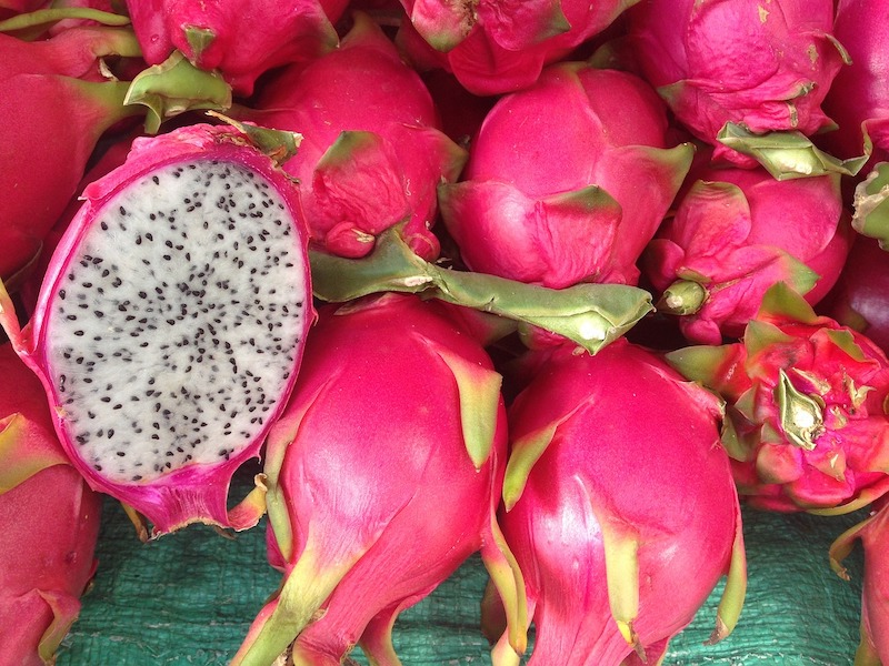 travelers eating dragon fruit while trekking from Kalaw to Inle Lake