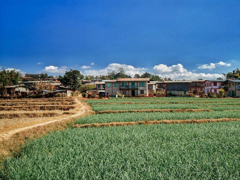 farmlands nearby Kalaw in Myanmar