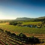 constantia valley