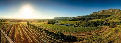 constantia valley