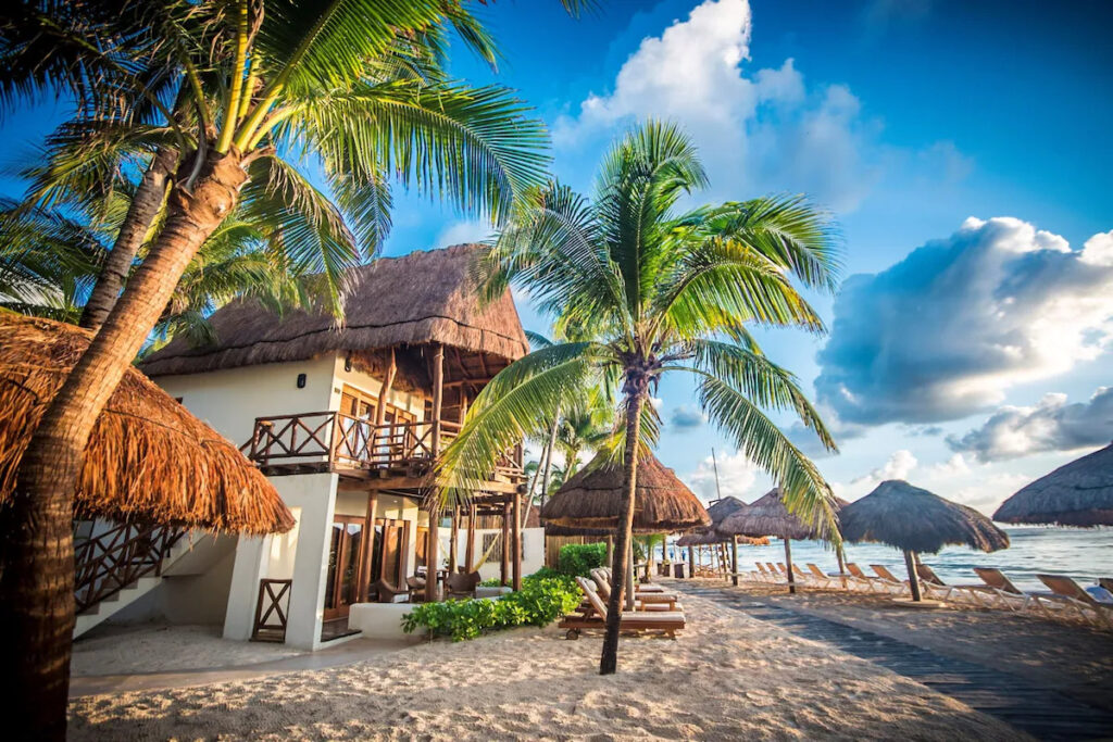 palm trees along the beach at Mahekal Beach Resort