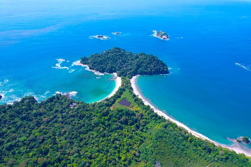 lush forest in Manuel Antonio National Park as seen from above