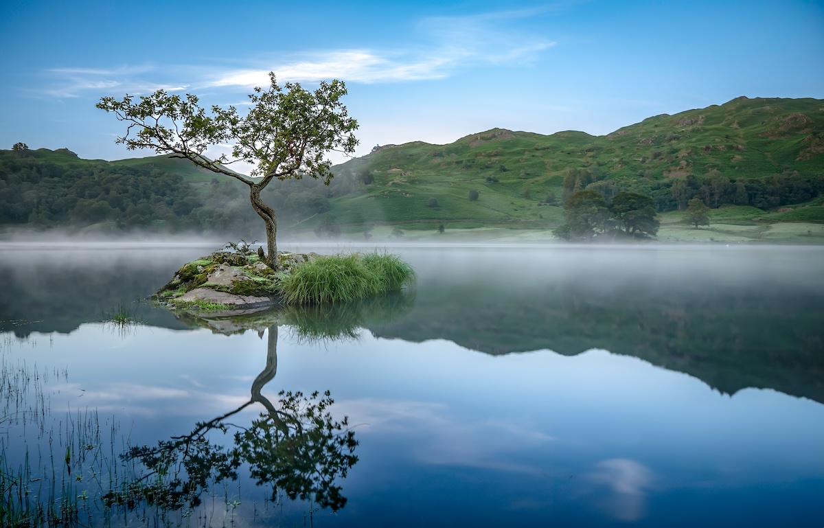 A solitary tree on a small, rocky island in the middle of a calm lake, with its reflection perfectly mirrored in the water. Mist rises from the lake, and green hills are visible in the background under a clear blue sky.
