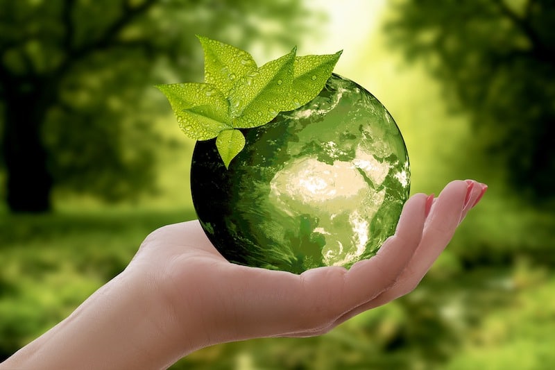 glass apple signifying zero-waste travel