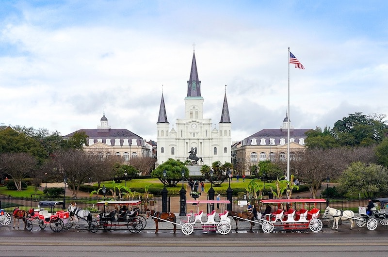 irresponsible tourism & wild animal cruelty horse rides new orleans
