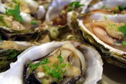 oysters