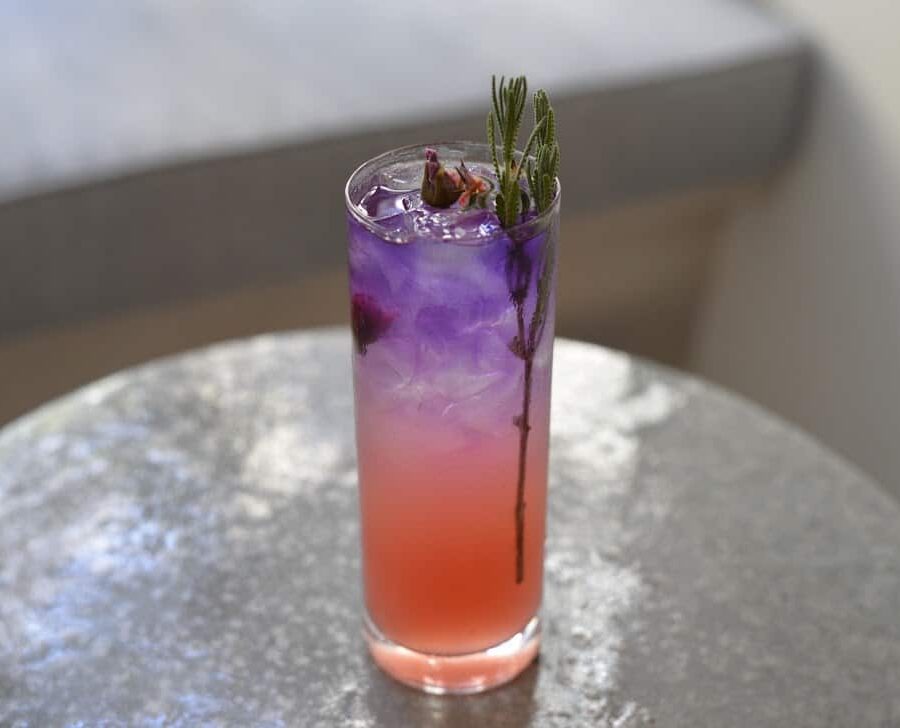 Violet Drop cocktail at P.S. Kitchen. Photo courtesy of P.S. Kitchen