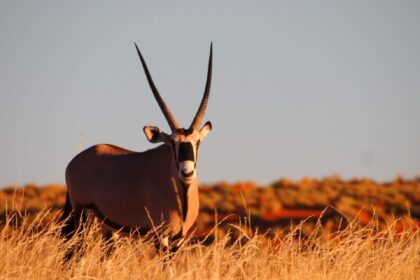 Namibia