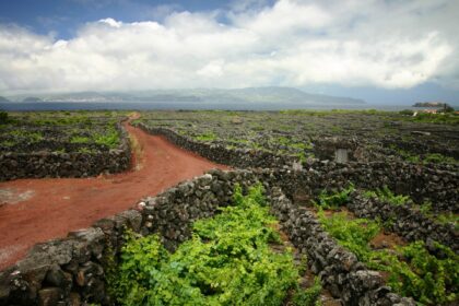 pico island