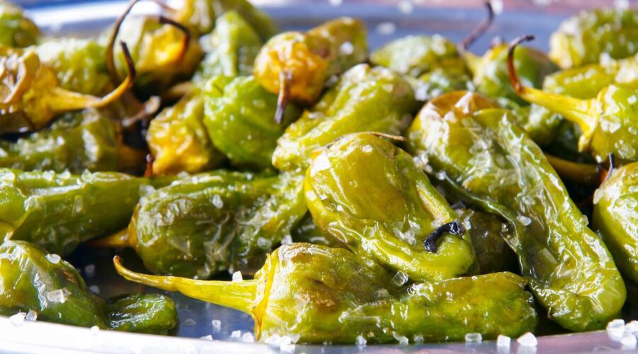 Pimientos de Padrón, a Spanish vegan dish featuring small green peppers sautéed with sea salt.
